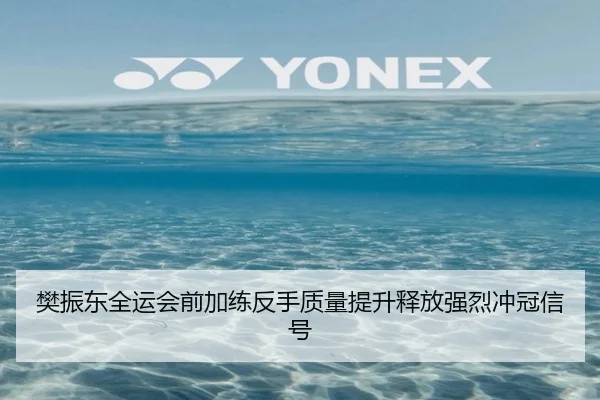 樊振东全运会前加练反手质量提升释放强烈冲冠信号